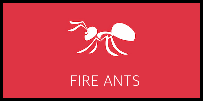 Fire Ants Course - Applicator Training