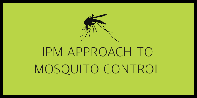 Mosquito Course