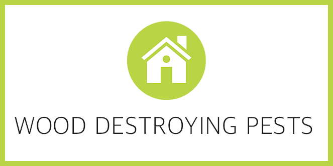 Wood Destroying Pests Training CEU
