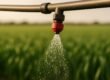 Sprayer Calibration: Nozzle Flow Rate Basics