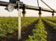 5 Common Sprayer Calibration Errors