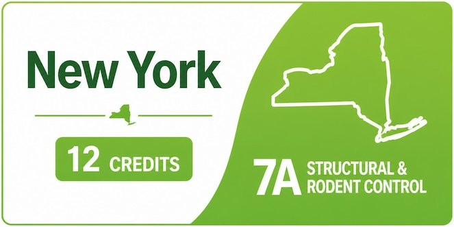 new-york-7a-ceu-bundle new-york-7a-ceu-bundle