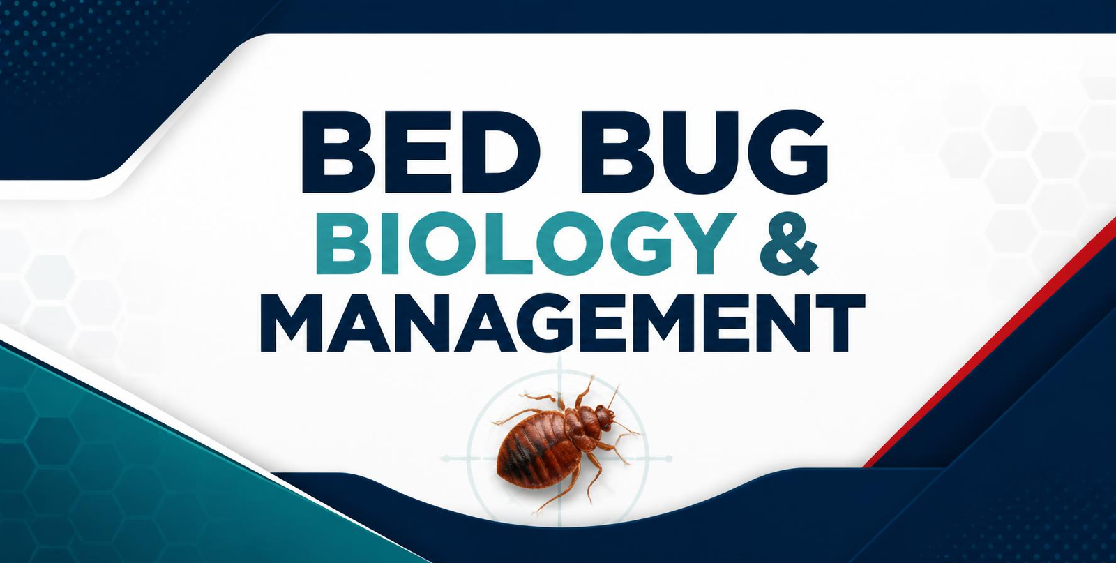 New York NY DEC CEU Bed Bug Biology & Management