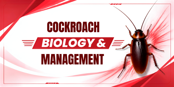 New York NY DEC Cockroach Biology & Management Pesticide CEU Credit
