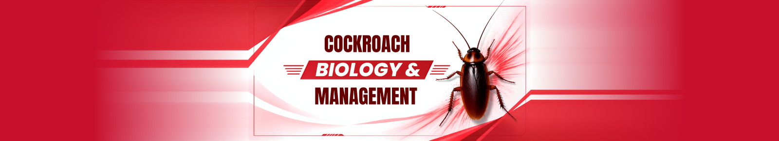 New York NY DEC Cockroach Biology & Management Pesticide CEU Credit Banner NY DEC-approved cockroach management pesticide CEU course