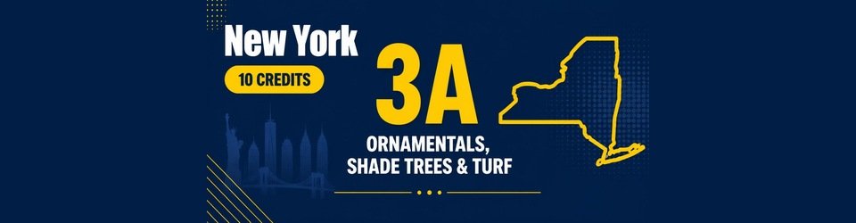 New York 3a Ornamental Turf Credit Bundle