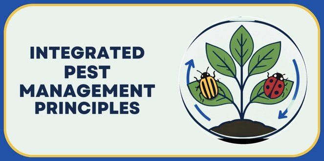 new-york-ipm-principles-ceu New York IPM Principles Credit Course