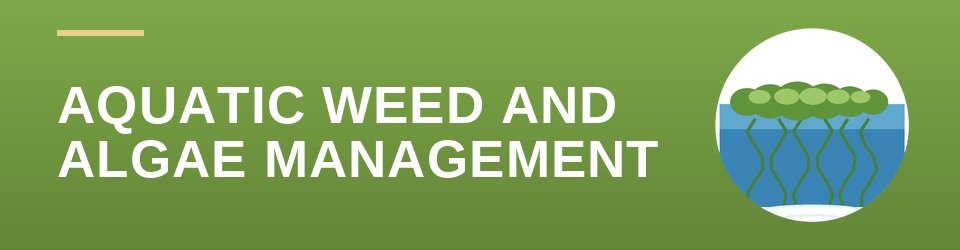florida-aquatic-weed-algae-management-ceu-banner Florida Aquatic Weed Algae Management CEU