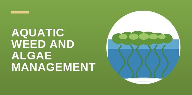 Florida Aquatic Weed and Algae Management CEU