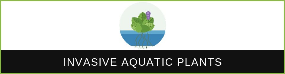 florida-invasive-aquatic-plants-ceu-banner Florida Invasive Aquatic Plants CEU