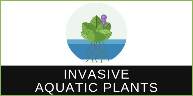 Florida Invasive Aquatic Plants CEU