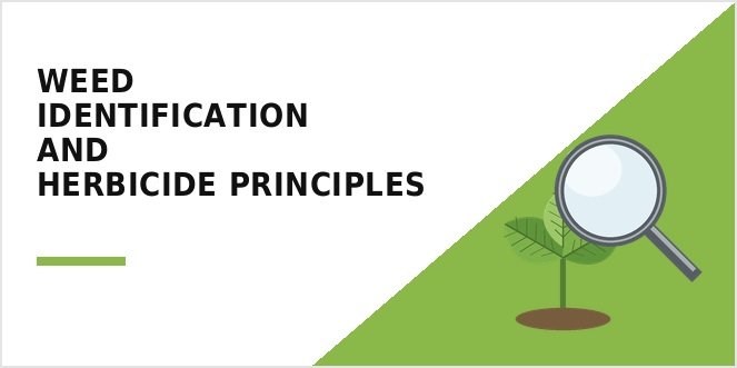 Florida Weed Identification and Herbicide Principles CEU