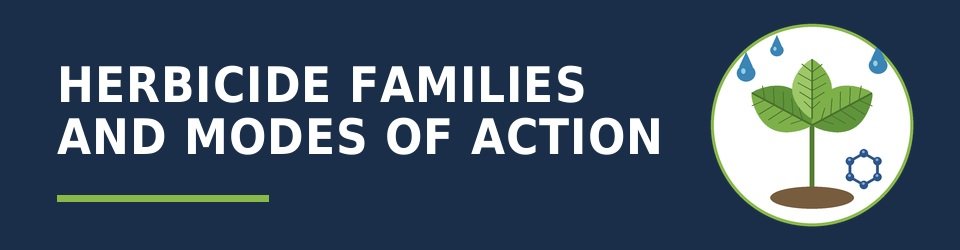 Florida Herbicide Families and Modes of Action CEU